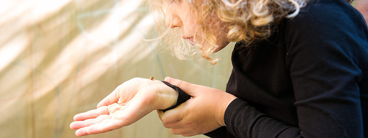 young girl with ladybird